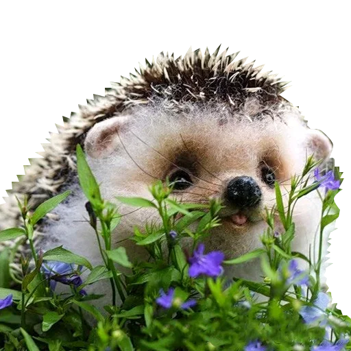 Стикер Cuteness