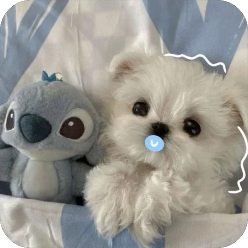 Стикер мило