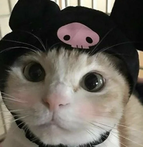 Стикер милота