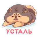 Набор стикеров