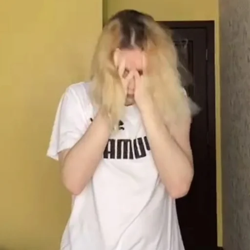Стикер молдавская муха