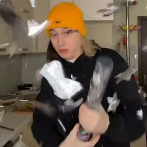 Стикер молдавская муха 2