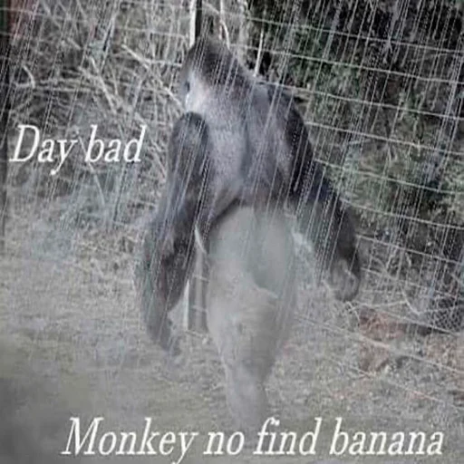 Стикер Monke