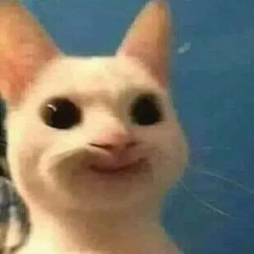 Стикер morrrrre