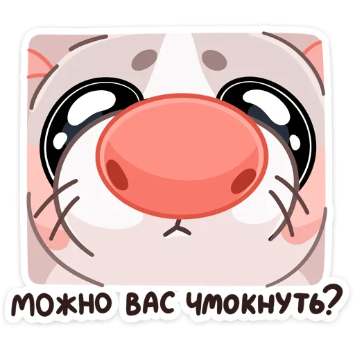 Набор стикеров