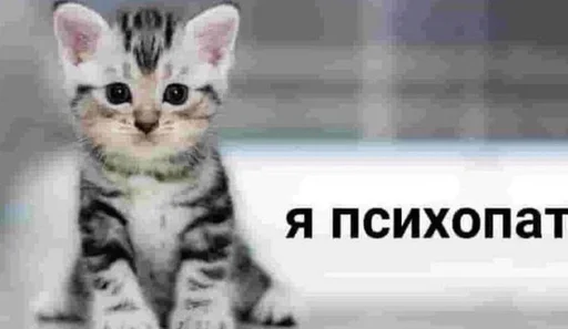 Набор стикеров