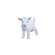 Стикер my aesthetic//;;напишу в октябре