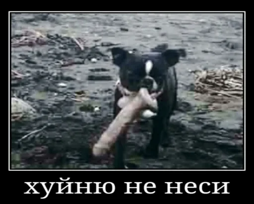Стикер Голые бляди.