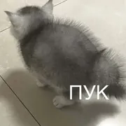 Стикер Пердёжные стикеры