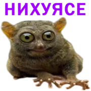 Стикер Stickers