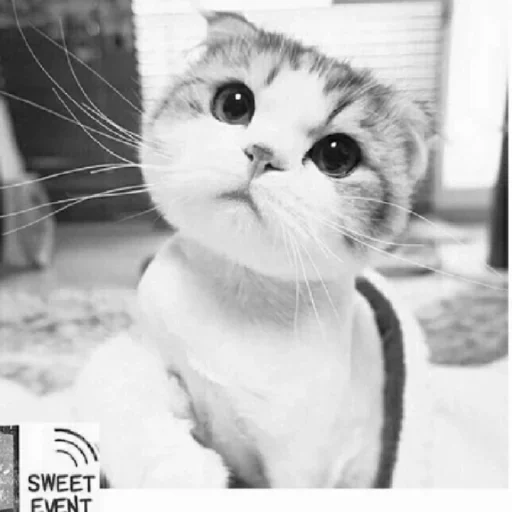 Стикер Пошел ты