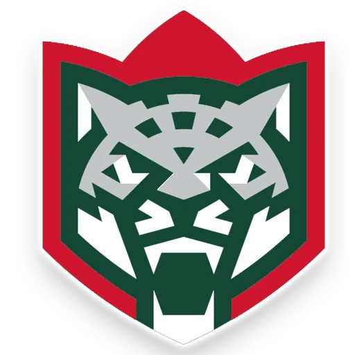 Стикер Наш Ак барс