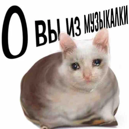 Стикер Информация о стикерах «Cr