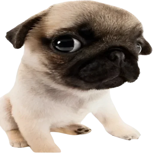 Стикер doggies