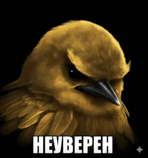 Стикер Birds Memes