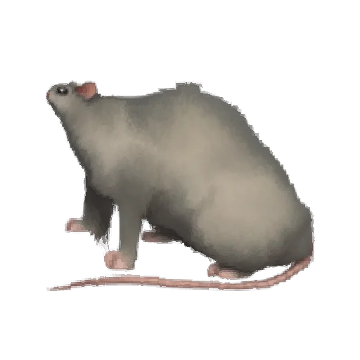 Стикер Oh no.. [Animal]