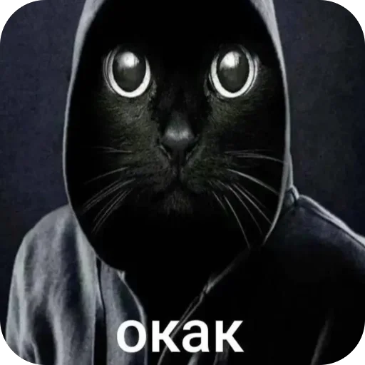 Стикер окаки