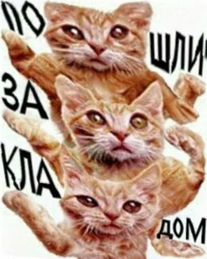 Набор стикеров