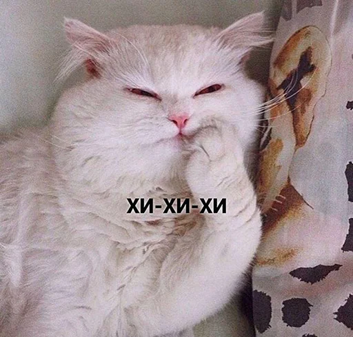 Стикер шмяк