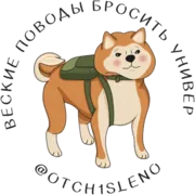 Стикер Веские поводов бросить универ