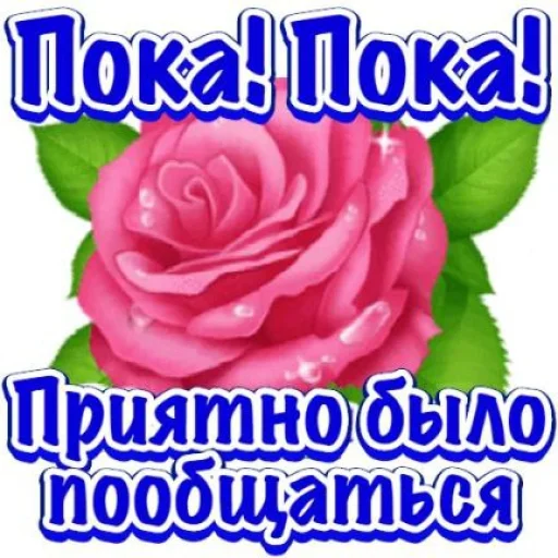 Набор стикеров