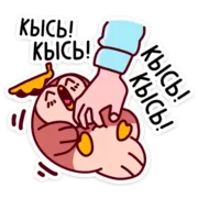 Набор стикеров