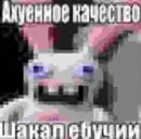 Стикер Маринованная моча