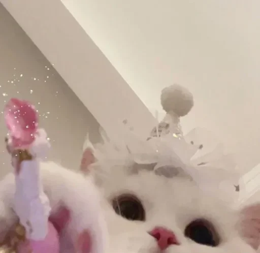 Стикер Cute animals