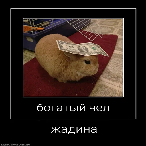 Стикер Чел