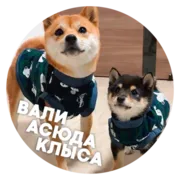 Стикер ? Пёськи тьмок