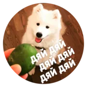 Набор стикеров