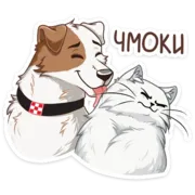 Набор стикеров