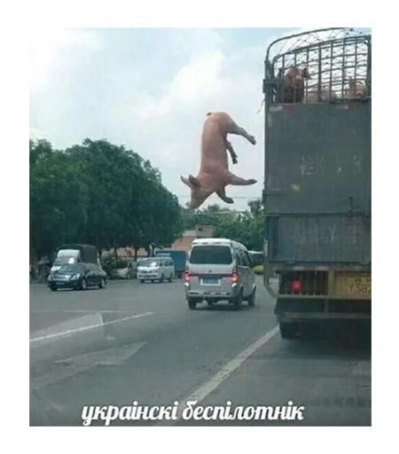 Стикер На Случая Случай 2