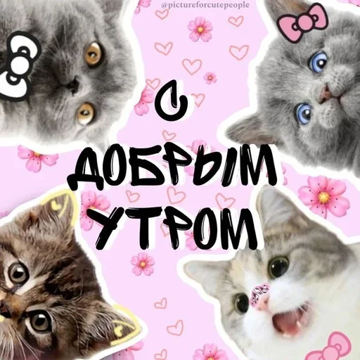 Набор стикеров