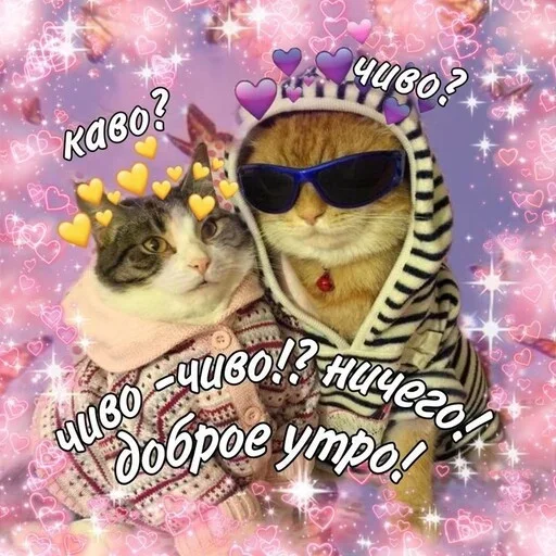 Набор стикеров