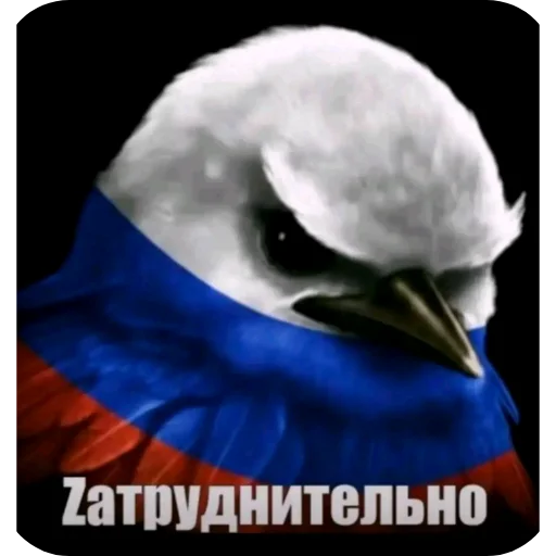 Стикер Birds Memes