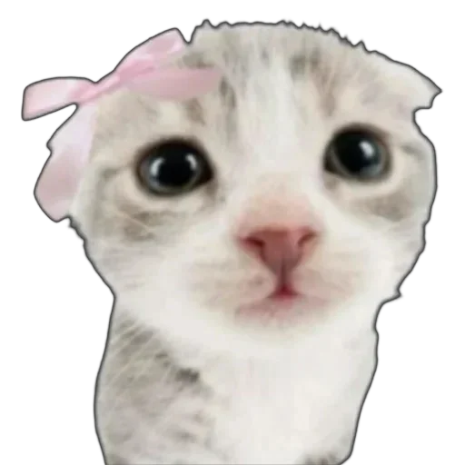 Стикер розовые мечты