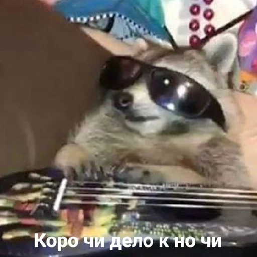 Стикер Разрывные еноты