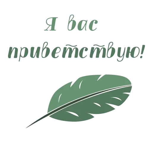 Набор стикеров