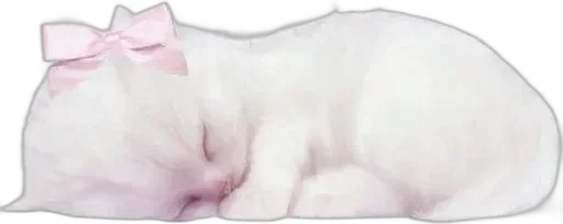 Стикер Чихуахуа