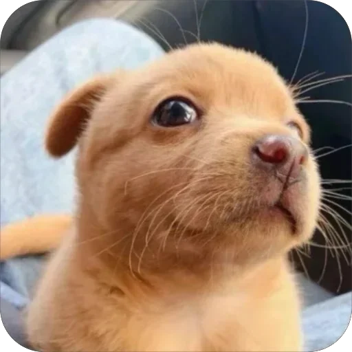 Стикер плюхи