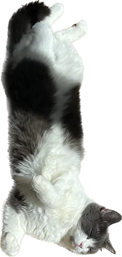 Стикер Png ios 16 ٩( ᐛ )و