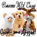 Набор стикеров