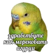 Стикер ПОДБОРКА МЕМОВ part 7