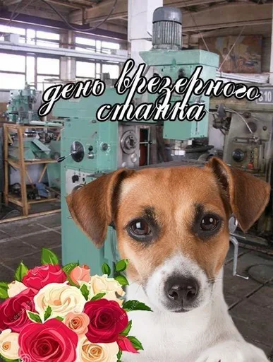 Стикер Поздравляю с Днём