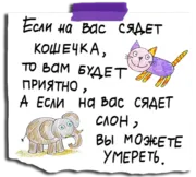 Стикер prolistnoydozhd