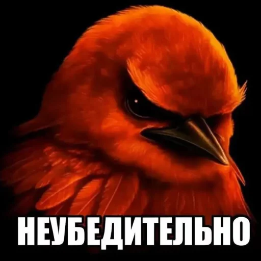 Стикер Birds Memes