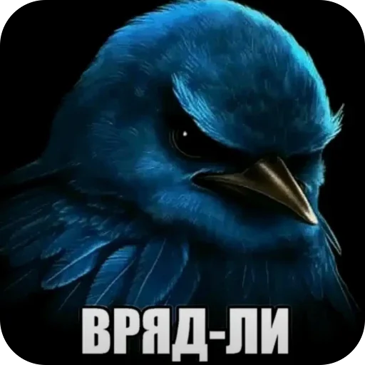 Стикер Birds Memes