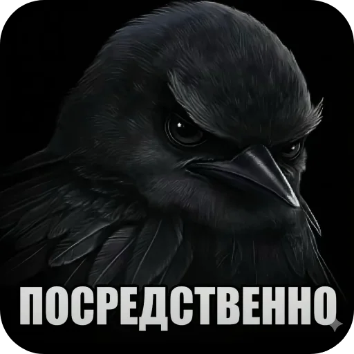 Стикер птички (lerixxqwz)