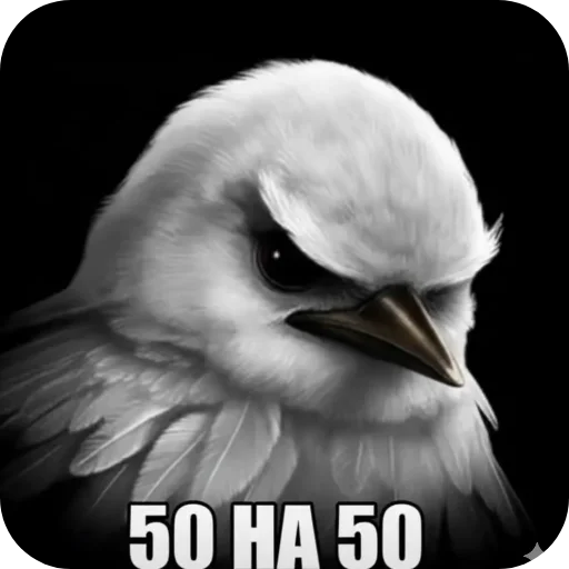 Стикер Birds Memes